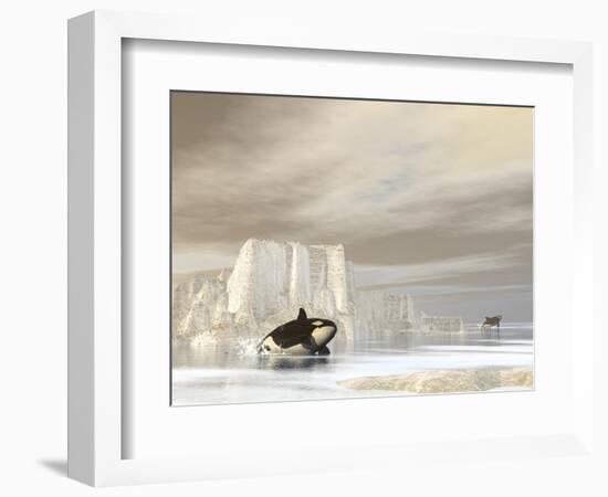 Two Killer Whales Swimming Near Icebergs on a Cloudy Day-null-Framed Art Print