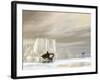 Two Killer Whales Swimming Near Icebergs on a Cloudy Day-null-Framed Art Print