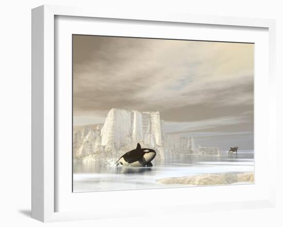 Two Killer Whales Swimming Near Icebergs on a Cloudy Day-null-Framed Art Print