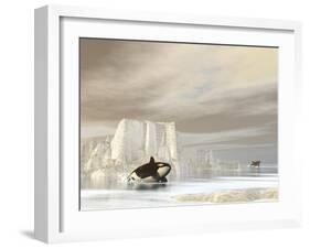 Two Killer Whales Swimming Near Icebergs on a Cloudy Day-null-Framed Art Print