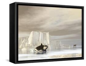 Two Killer Whales Swimming Near Icebergs on a Cloudy Day-null-Framed Stretched Canvas