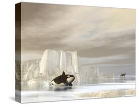 Two Killer Whales Swimming Near Icebergs on a Cloudy Day-null-Stretched Canvas