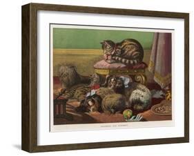 Two King Charles Spaniels Relax with Other Friends Canine and Feline-null-Framed Art Print