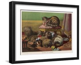Two King Charles Spaniels Relax with Other Friends Canine and Feline-null-Framed Art Print