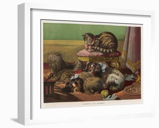 Two King Charles Spaniels Relax with Other Friends Canine and Feline-null-Framed Art Print