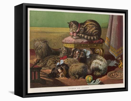 Two King Charles Spaniels Relax with Other Friends Canine and Feline-null-Framed Stretched Canvas