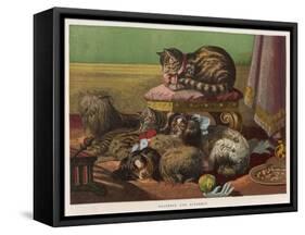 Two King Charles Spaniels Relax with Other Friends Canine and Feline-null-Framed Stretched Canvas