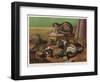 Two King Charles Spaniels Relax with Other Friends Canine and Feline-null-Framed Art Print