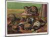 Two King Charles Spaniels Relax with Other Friends Canine and Feline-null-Mounted Art Print