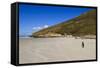 Two King Penguins (Aptenodytes Patagonicus) Look Out to Sea on White Sand Beach-Eleanor-Framed Stretched Canvas