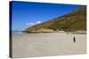 Two King Penguins (Aptenodytes Patagonicus) Look Out to Sea on White Sand Beach-Eleanor-Stretched Canvas