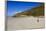 Two King Penguins (Aptenodytes Patagonicus) Look Out to Sea on White Sand Beach-Eleanor-Framed Photographic Print