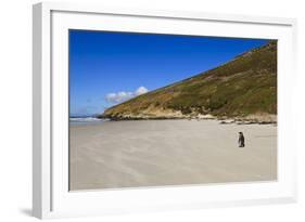 Two King Penguins (Aptenodytes Patagonicus) Look Out to Sea on White Sand Beach-Eleanor-Framed Photographic Print