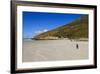 Two King Penguins (Aptenodytes Patagonicus) Look Out to Sea on White Sand Beach-Eleanor-Framed Photographic Print