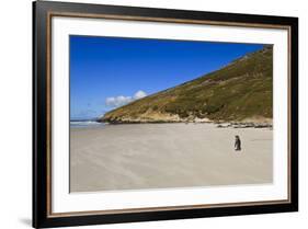 Two King Penguins (Aptenodytes Patagonicus) Look Out to Sea on White Sand Beach-Eleanor-Framed Photographic Print