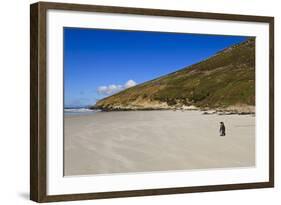 Two King Penguins (Aptenodytes Patagonicus) Look Out to Sea on White Sand Beach-Eleanor-Framed Photographic Print