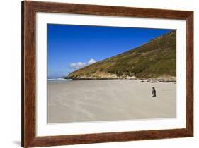 Two King Penguins (Aptenodytes Patagonicus) Look Out to Sea on White Sand Beach-Eleanor-Framed Photographic Print