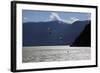 Two Kite Surfers on Howe Sound at Squamish, British Columbia, Canada, North America-David Pickford-Framed Photographic Print