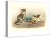 Two Kittens with Doll-null-Stretched Canvas