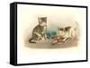 Two Kittens with Doll-null-Framed Stretched Canvas