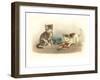 Two Kittens with Doll-null-Framed Art Print