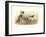 Two Kittens with Doll-null-Framed Art Print