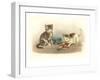 Two Kittens with Doll-null-Framed Art Print