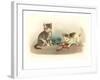 Two Kittens with Doll-null-Framed Art Print