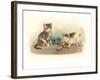 Two Kittens with Doll-null-Framed Art Print