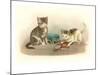 Two Kittens with Doll-null-Mounted Art Print