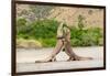 Two Komodo dragons fighting on a beach, Komodo Island-Nick Garbutt-Framed Photographic Print