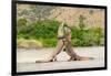 Two Komodo dragons fighting on a beach, Komodo Island-Nick Garbutt-Framed Photographic Print