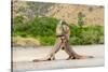 Two Komodo dragons fighting on a beach, Komodo Island-Nick Garbutt-Stretched Canvas