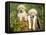 Two Labrador Retriever Puppies, USA-Lynn M. Stone-Framed Stretched Canvas