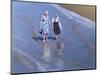 Two Ladies Paddling - Weston-Super-Mare-Peter Breeden-Mounted Giclee Print