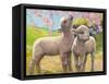 Two Lambs Eating Blossom-Van Der Syde-Framed Stretched Canvas