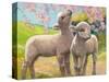 Two Lambs Eating Blossom-Van Der Syde-Stretched Canvas