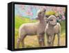 Two Lambs Eating Blossom-Van Der Syde-Framed Stretched Canvas