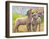 Two Lambs Eating Blossom-Van Der Syde-Framed Giclee Print