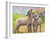 Two Lambs Eating Blossom-Van Der Syde-Framed Giclee Print