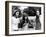 Two-Lane Blacktop, Dennis Wilson, Laurie Bird, James Taylor, 1971-null-Framed Photo