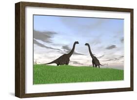 Two Large Brachiosaurus in a Grassy Field-null-Framed Art Print