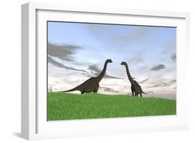 Two Large Brachiosaurus in a Grassy Field-null-Framed Art Print