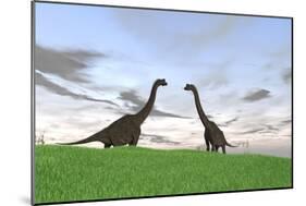 Two Large Brachiosaurus in a Grassy Field-null-Mounted Art Print