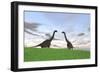 Two Large Brachiosaurus in a Grassy Field-null-Framed Premium Giclee Print