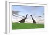 Two Large Brachiosaurus in a Grassy Field-null-Framed Premium Giclee Print