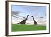 Two Large Brachiosaurus in a Grassy Field-null-Framed Art Print