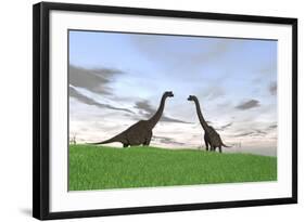 Two Large Brachiosaurus in a Grassy Field-null-Framed Art Print