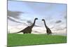 Two Large Brachiosaurus in a Grassy Field-null-Mounted Art Print