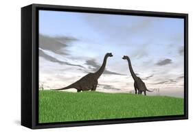 Two Large Brachiosaurus in a Grassy Field-null-Framed Stretched Canvas